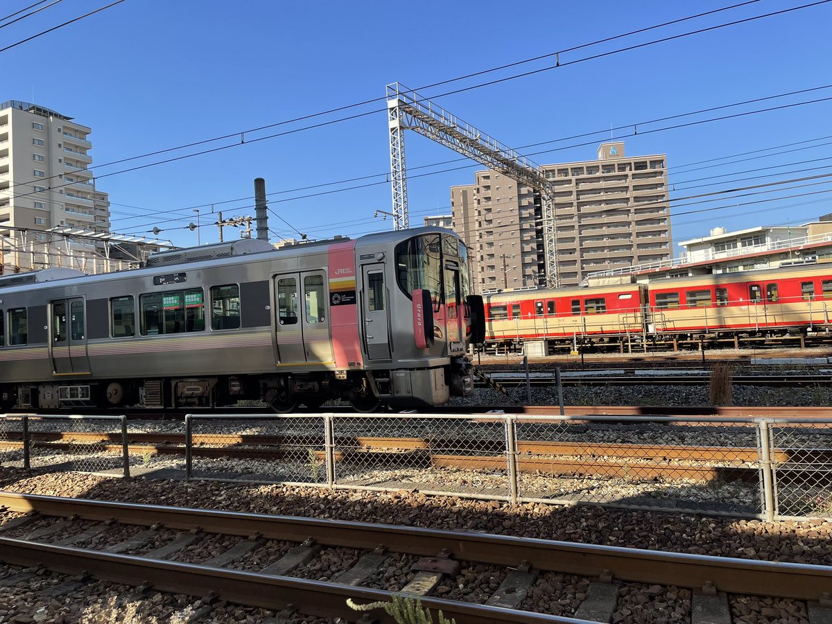 masarunamba_pf's tweet image. 朝、気分転換に散歩🚶
Urara結構増えたねー