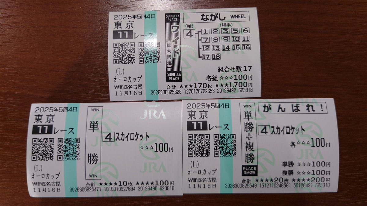 愛馬スカイロケットの馬券です 東京メインのオーロC 頑張ってください