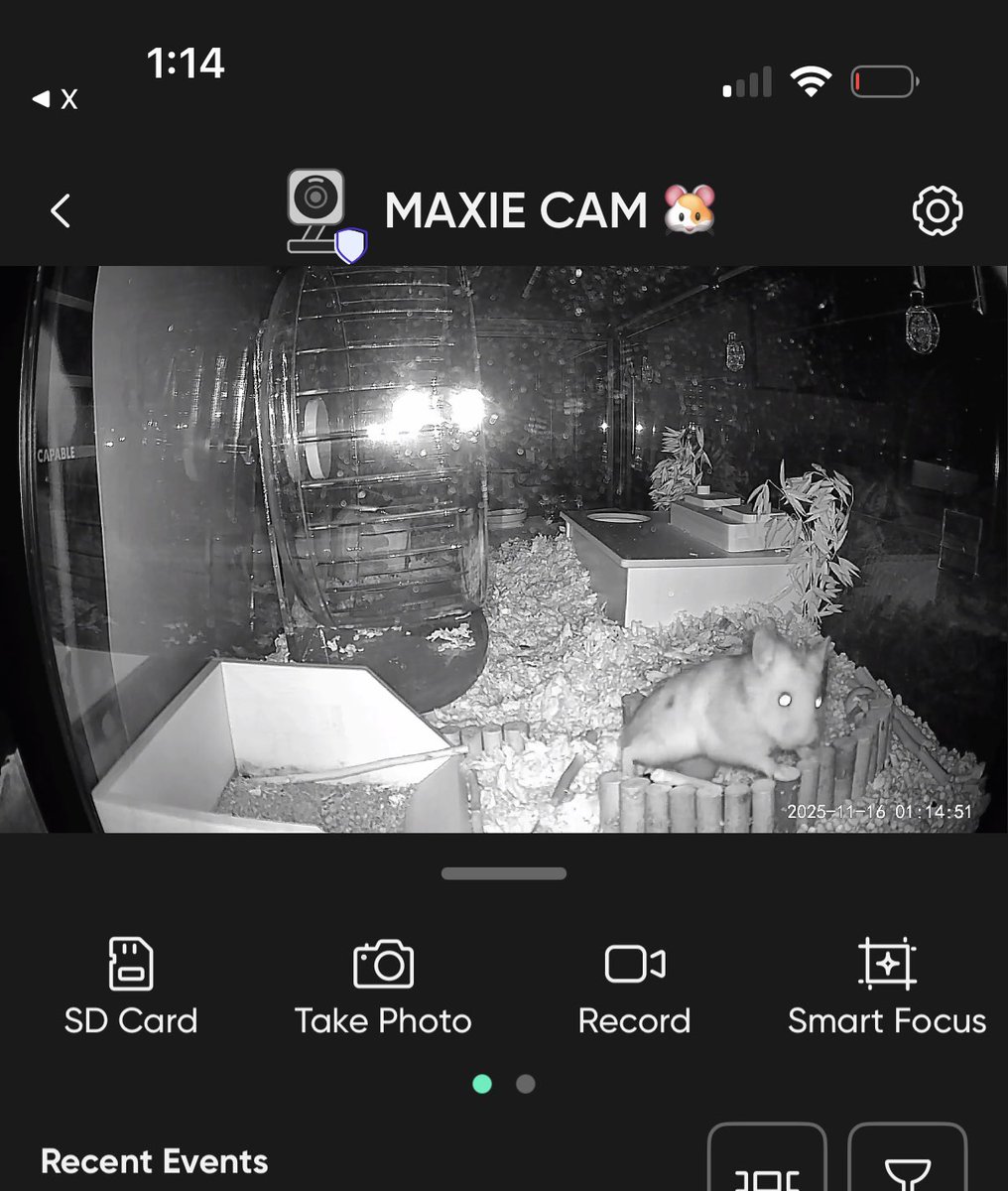 katy (eliza DAY) tweet media