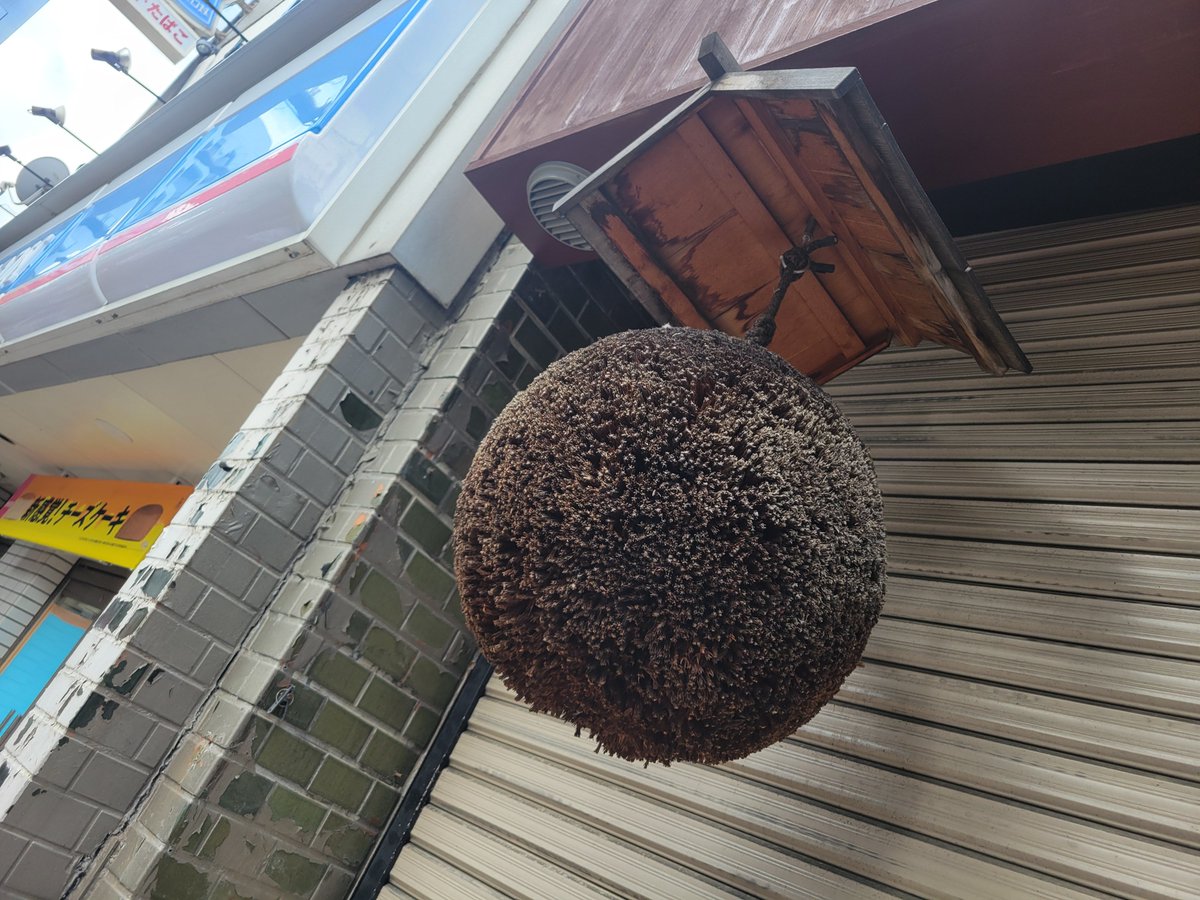 古代兵器ブリオン