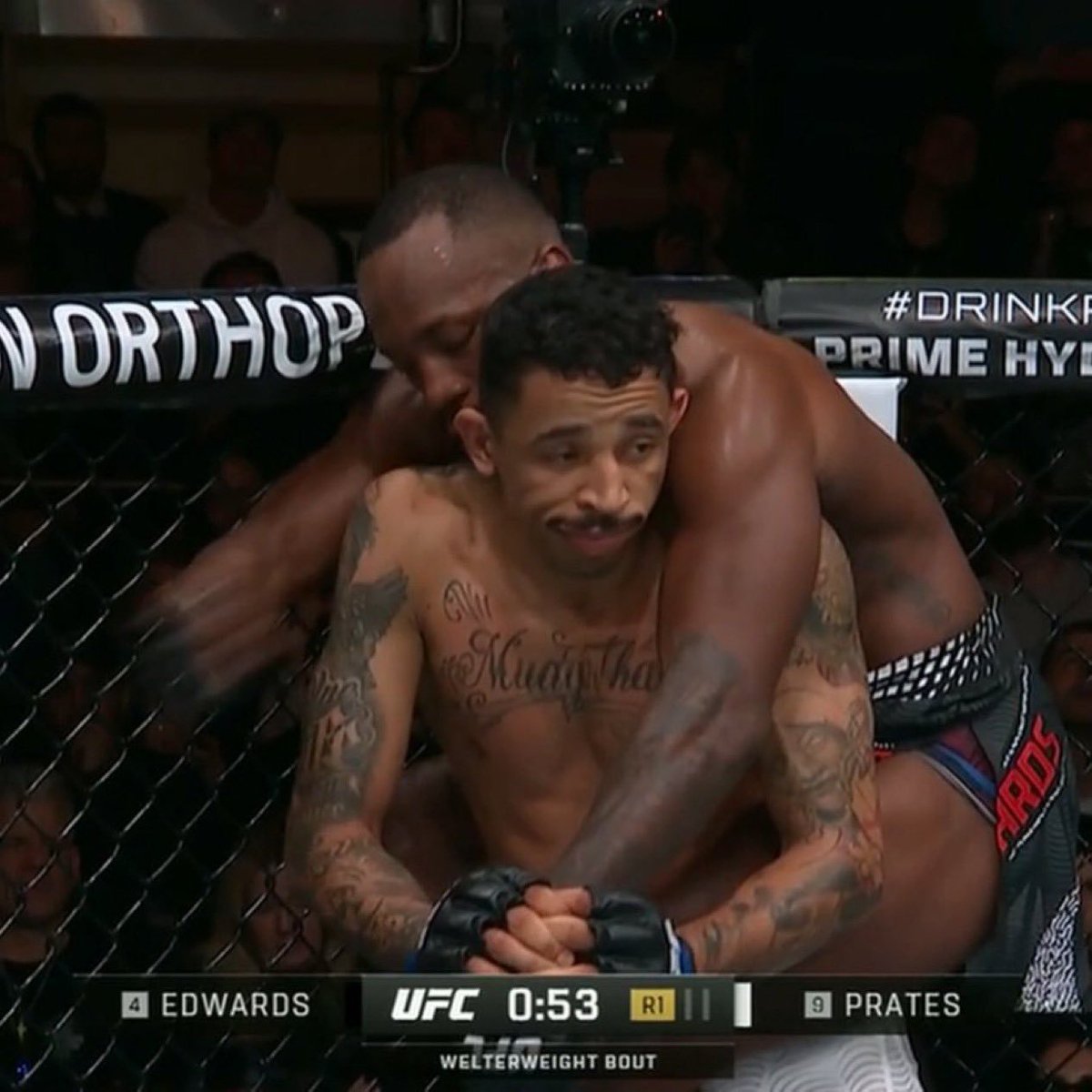 BootstrapIX's tweet image. New meme has risen. 

&quot;Prates unimpressed&quot;