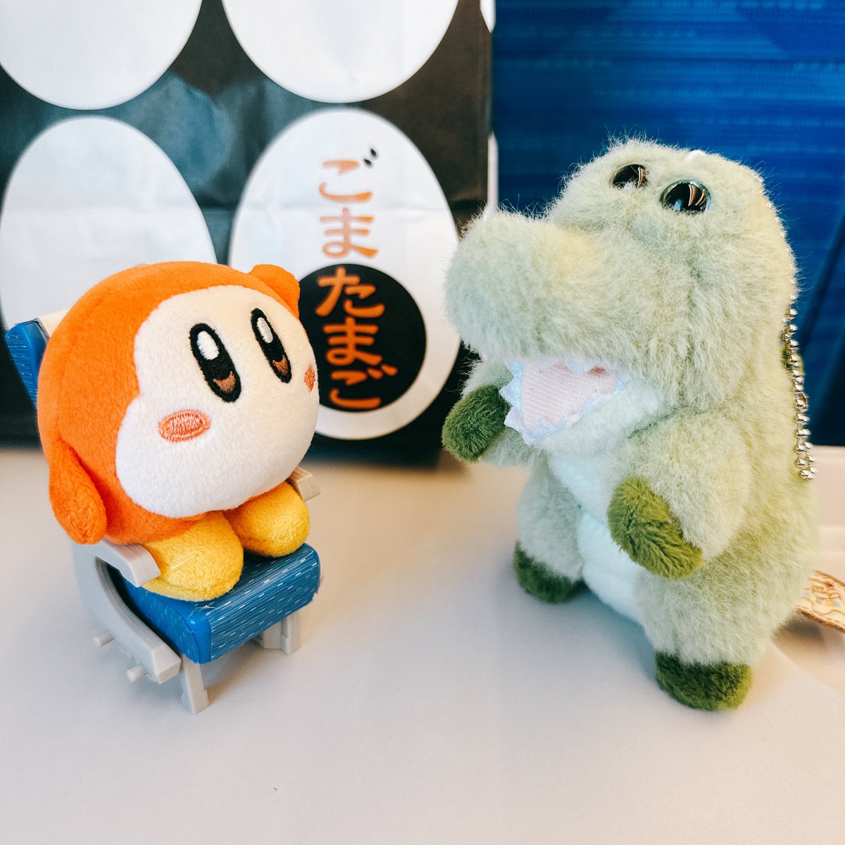 たまちゃん (@tamachan0527) / Posts / X