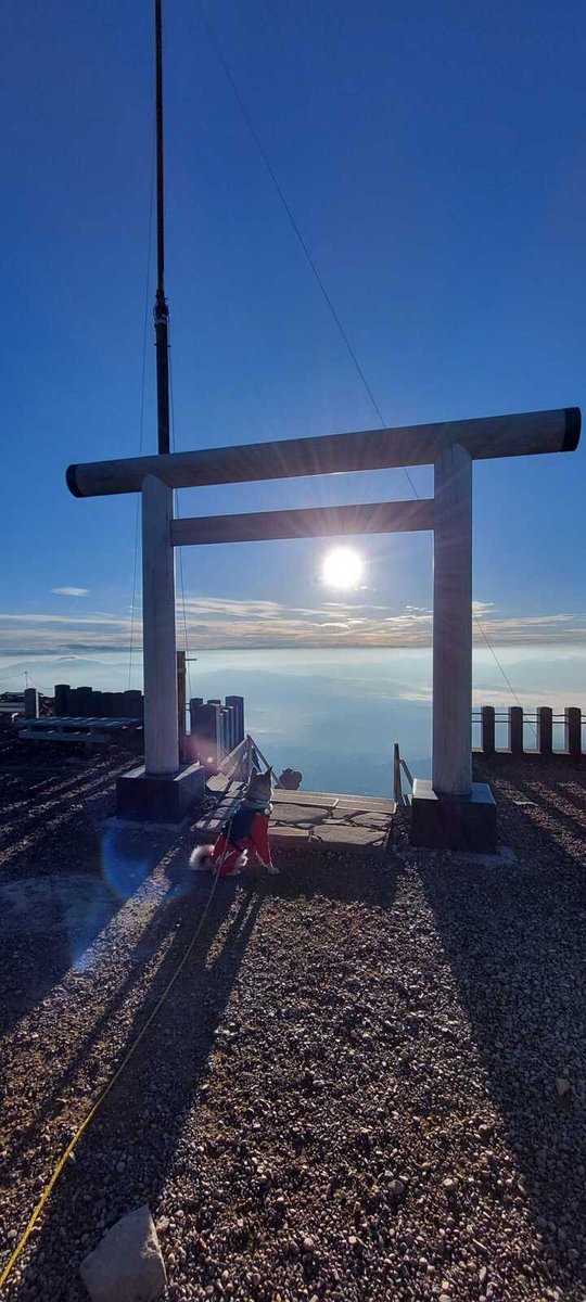 こんにちは😊
外は天気がいいので、家から歩いて行ける近くの神社へ散歩に行ってきました⛩️✨
日曜日も、もう夕方近くになりましたが皆さまも良い時間を過ごせますように☘️