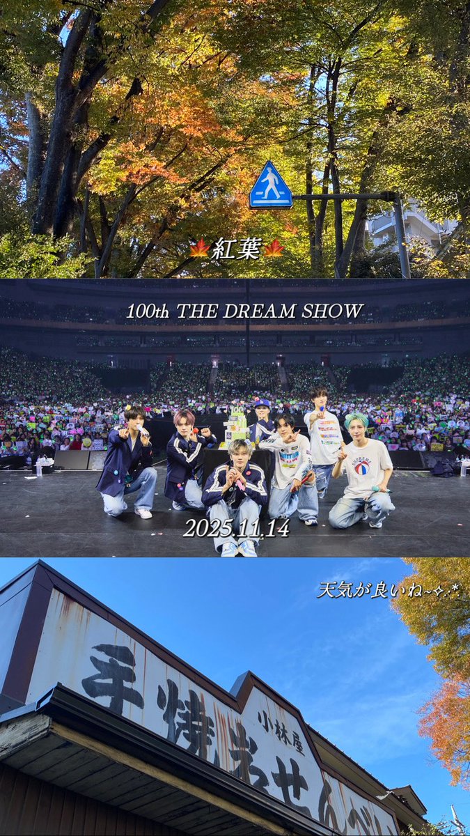 fltk_na3's tweet image. さいたま公演2日間、なみちゃんと行ってきました◜.  ̫.◝🪄
ずっと7人には幸せでいてもらいたいし、公演200回目もこれからも一緒に楽しく迎えられるといいな💭🍀