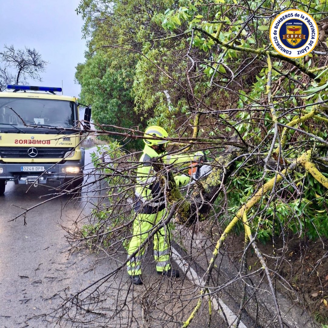 Efectivos del #CBPC realizan 73 intervenciones en la provincia, relacionadas con el temporal, desde el viernes a las 15h hasta el domingo a las 8h; 17 en la zona Bahía de Cádiz, 23 en Campo de Gibraltar y 33 Sierra y Campiña; la mayoría de ellas por viento y sin daños personales