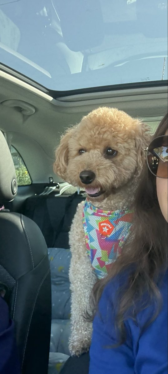 Gümaydım büyük ananeşime gidyom yol tarif etçem