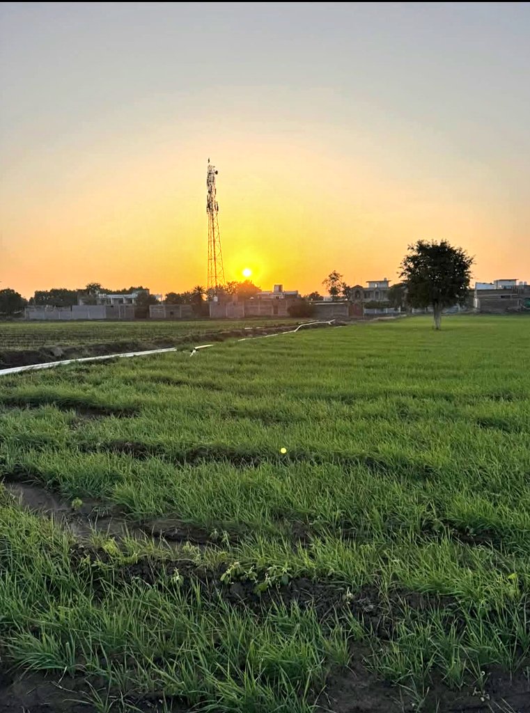जो सुकून खेत पे शाम को मिलता हे वो पूरी दुनिया में कहीं नहीं मिलता

शुभ संध्या ❤️
