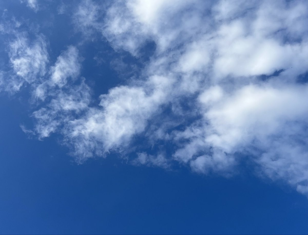 GM and touch grass on sunday! ☀️