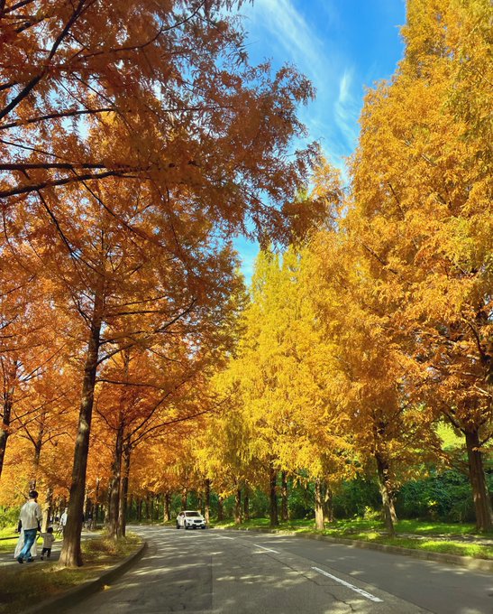 コスプレイヤーここねのTwitter画像24