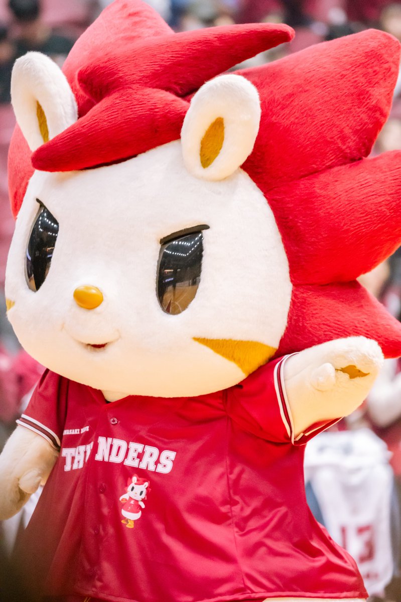 ⚡MEG15⚡Tammy🐰 (@kio_stair) / Posts / X