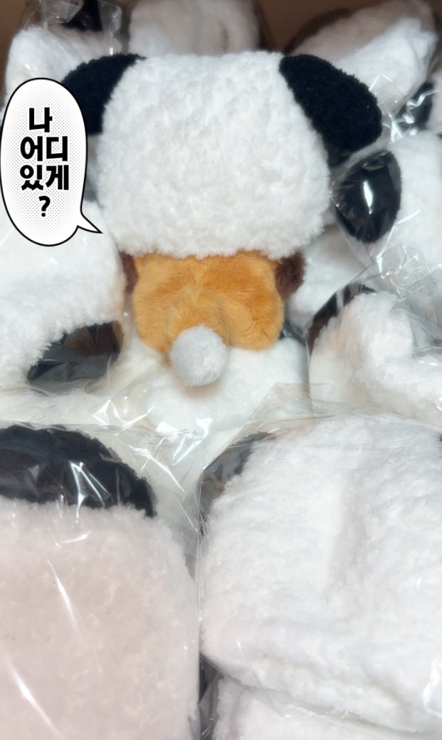 쭌요미 tweet media