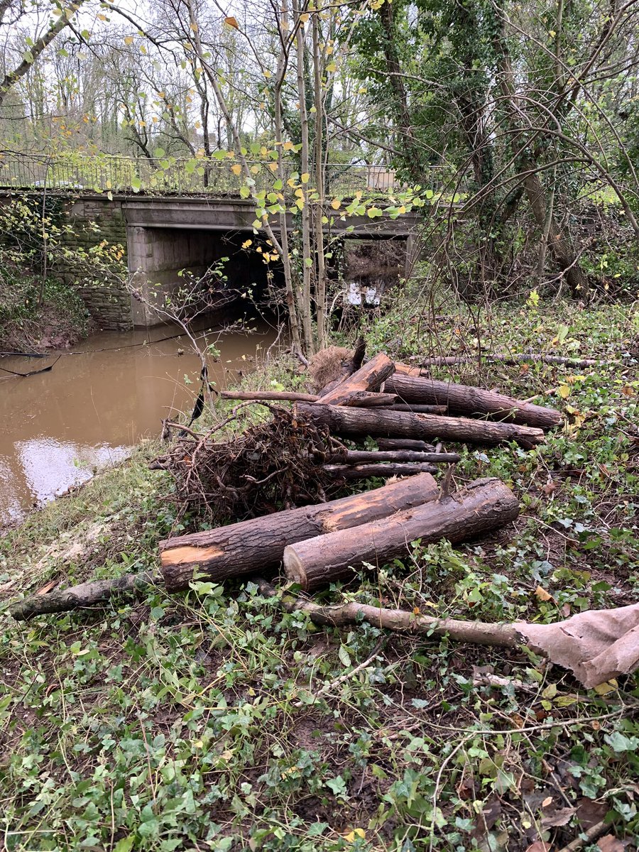 Barry Killner tweet media