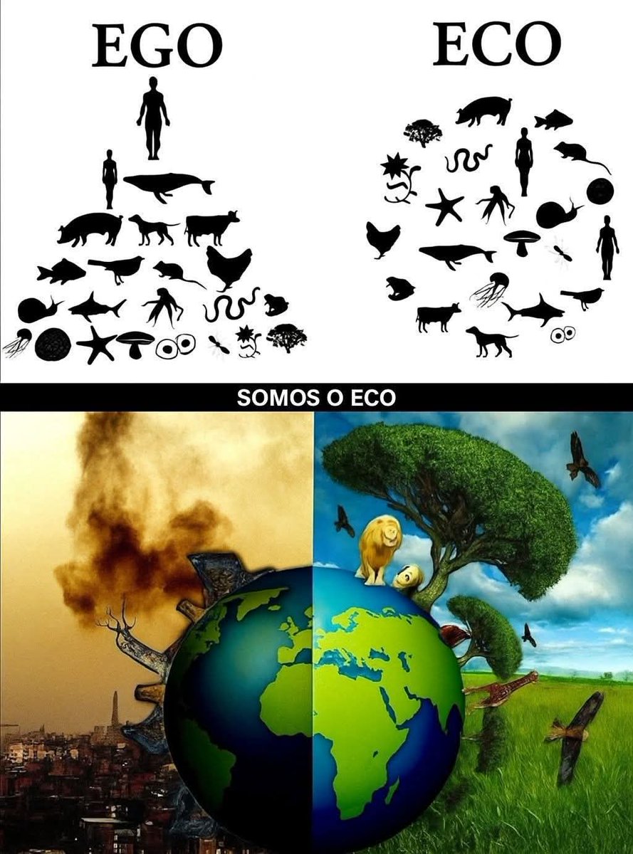 projetolixotec's tweet image. 