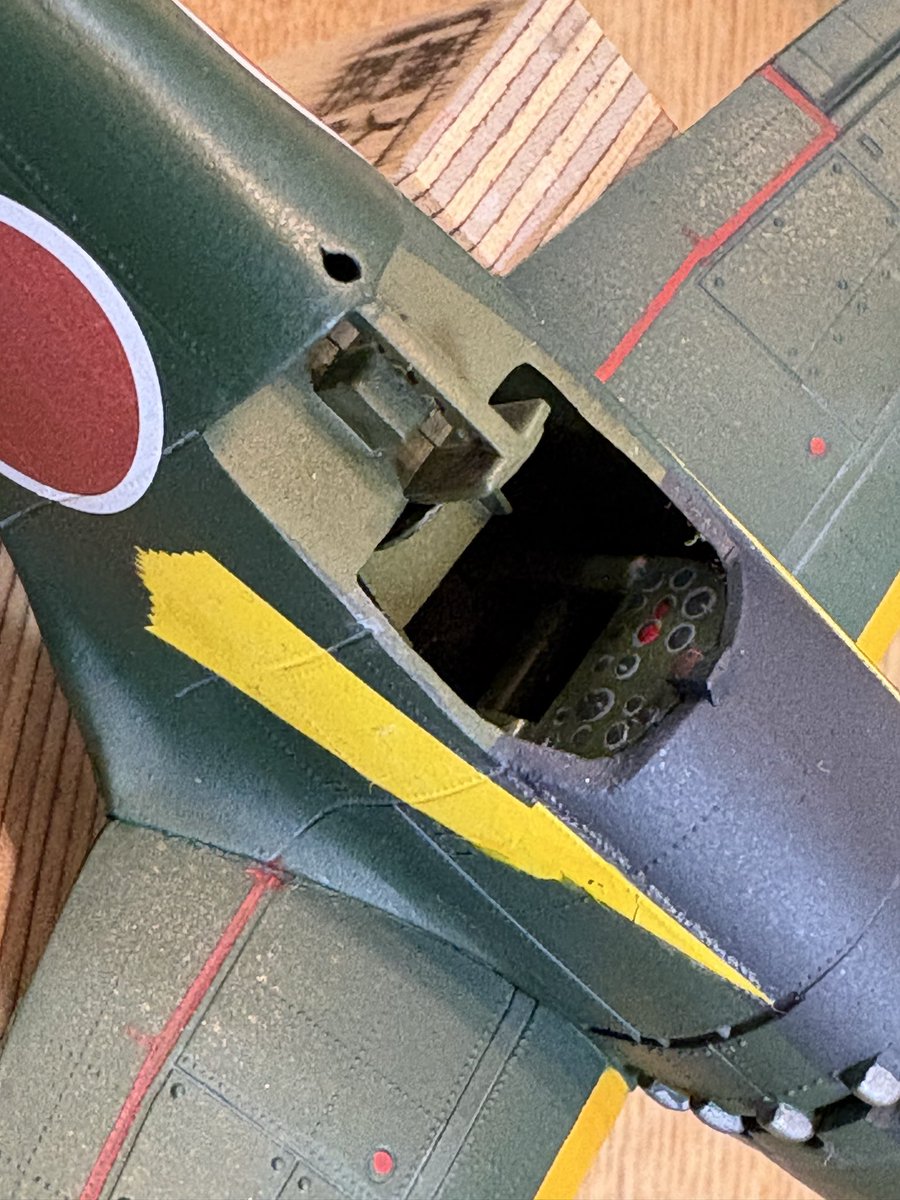 リクガメ (@kmjoadwth) / Posts / X