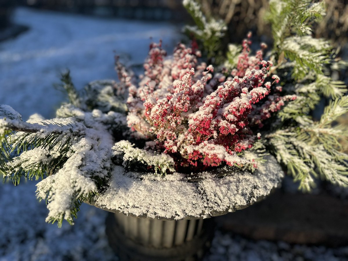 Vinterwonderland in <a href="/villaforss/">Villaforss</a>