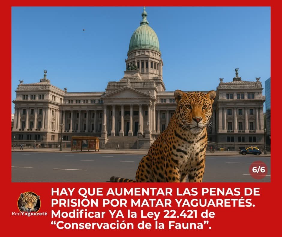 ¡URGENTE FIRMÁ Y COMPARTÍ!

Ya existe un proyecto de Ley para aumentar las penas a cárcel de cumplimiento efectivo, apoyemos.

Firmá acá:
change.org/p/aumentar-pen…