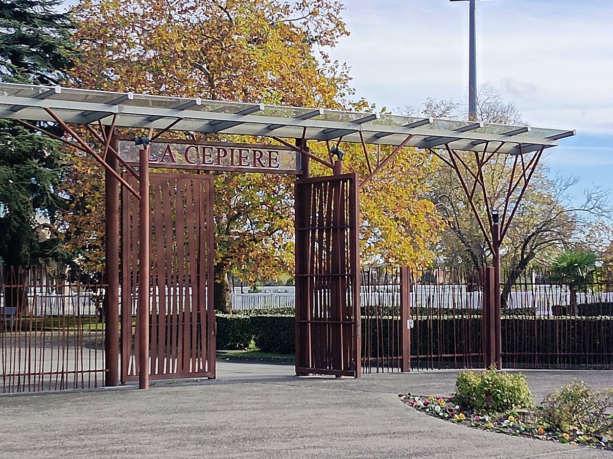 André Allo tweet media