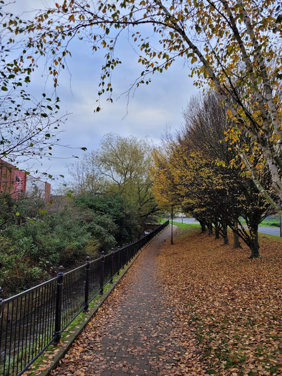 Wrexham Litter Pickers tweet media