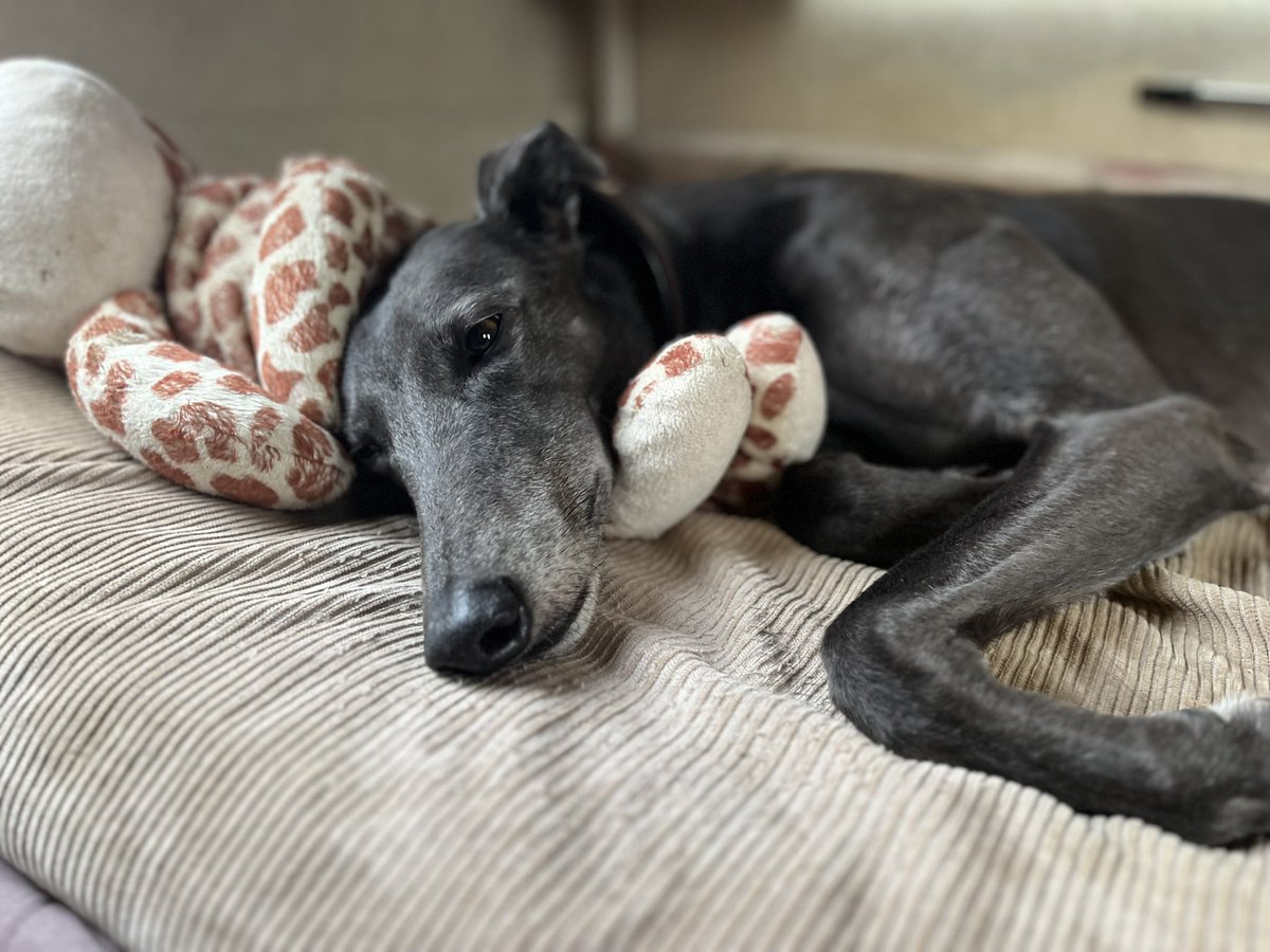 Pam…aka Sporting Pandini enjoying retirement and a week in the Cotswolds… loves the caravan 🤣🤣