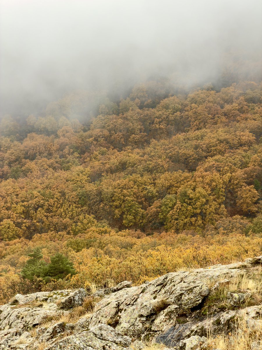 No entiendo que se pueda vivir de espaldas a la naturaleza.