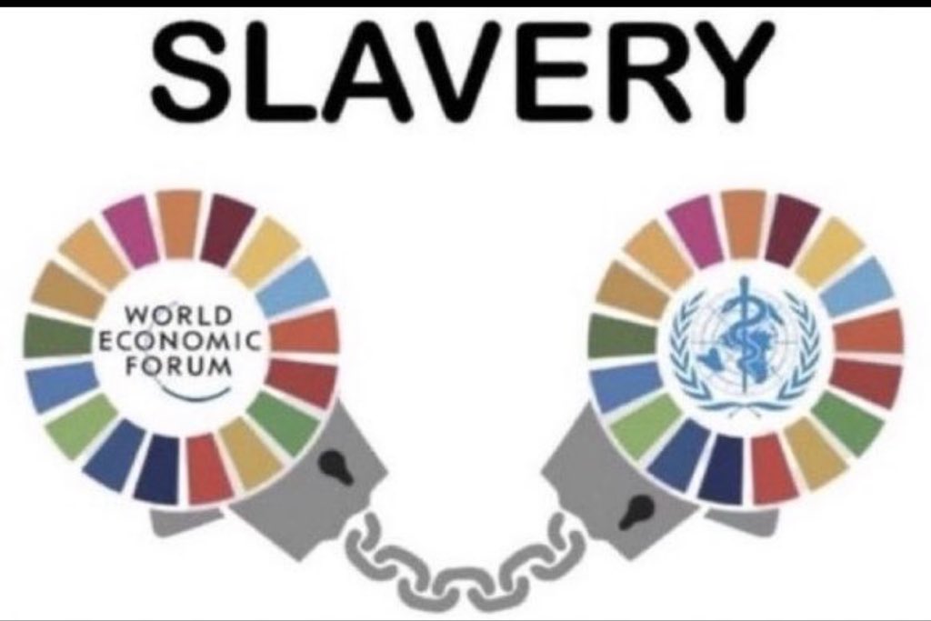 bersano413481's tweet image. 