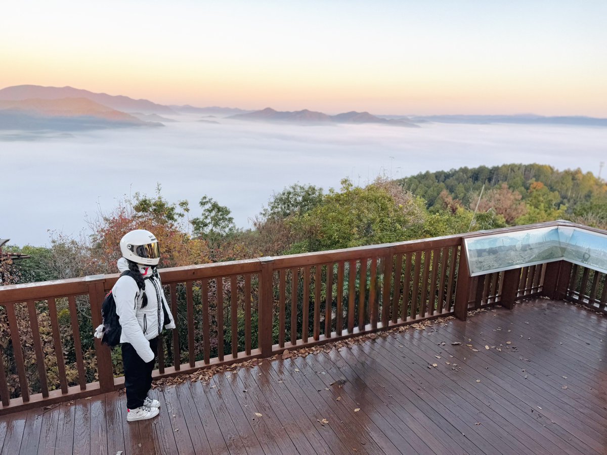 まつ子⭐︎ えつこむ (@etsucomyade) / Posts / X