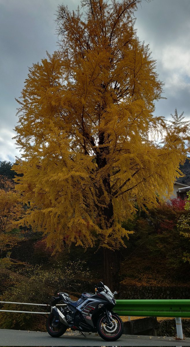 yasu1569's tweet image. 久しぶりに