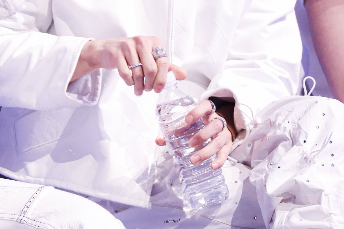 Paradise² tweet media