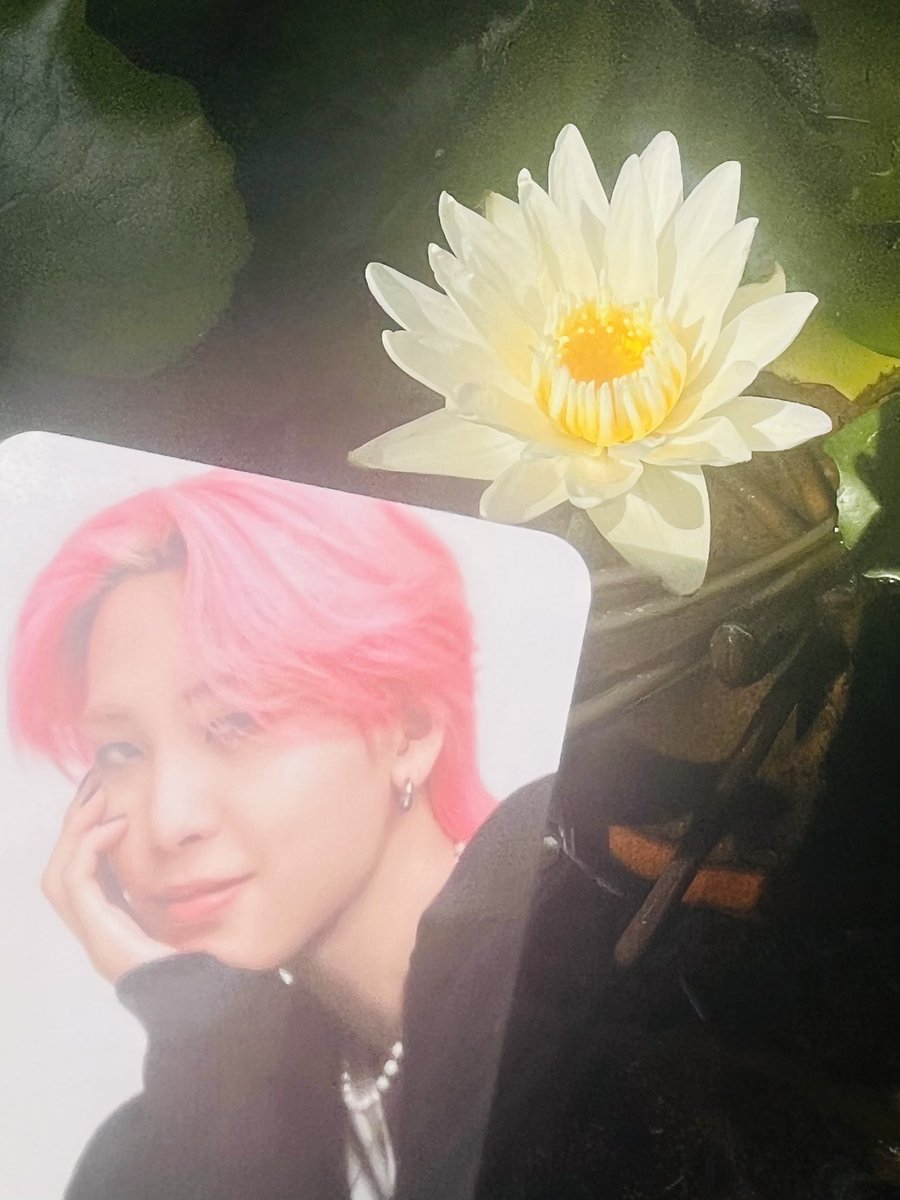 蓮くんありがとう🌼遠回り大好きだよ 時には寄り道しながら これからも