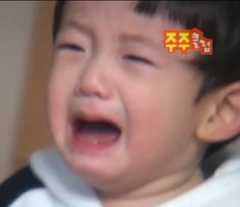 จุดเด่น : ฟันไม่มี
ความสามารถพิเศษ : กัดและเคี้ยวอาหารหมาได้