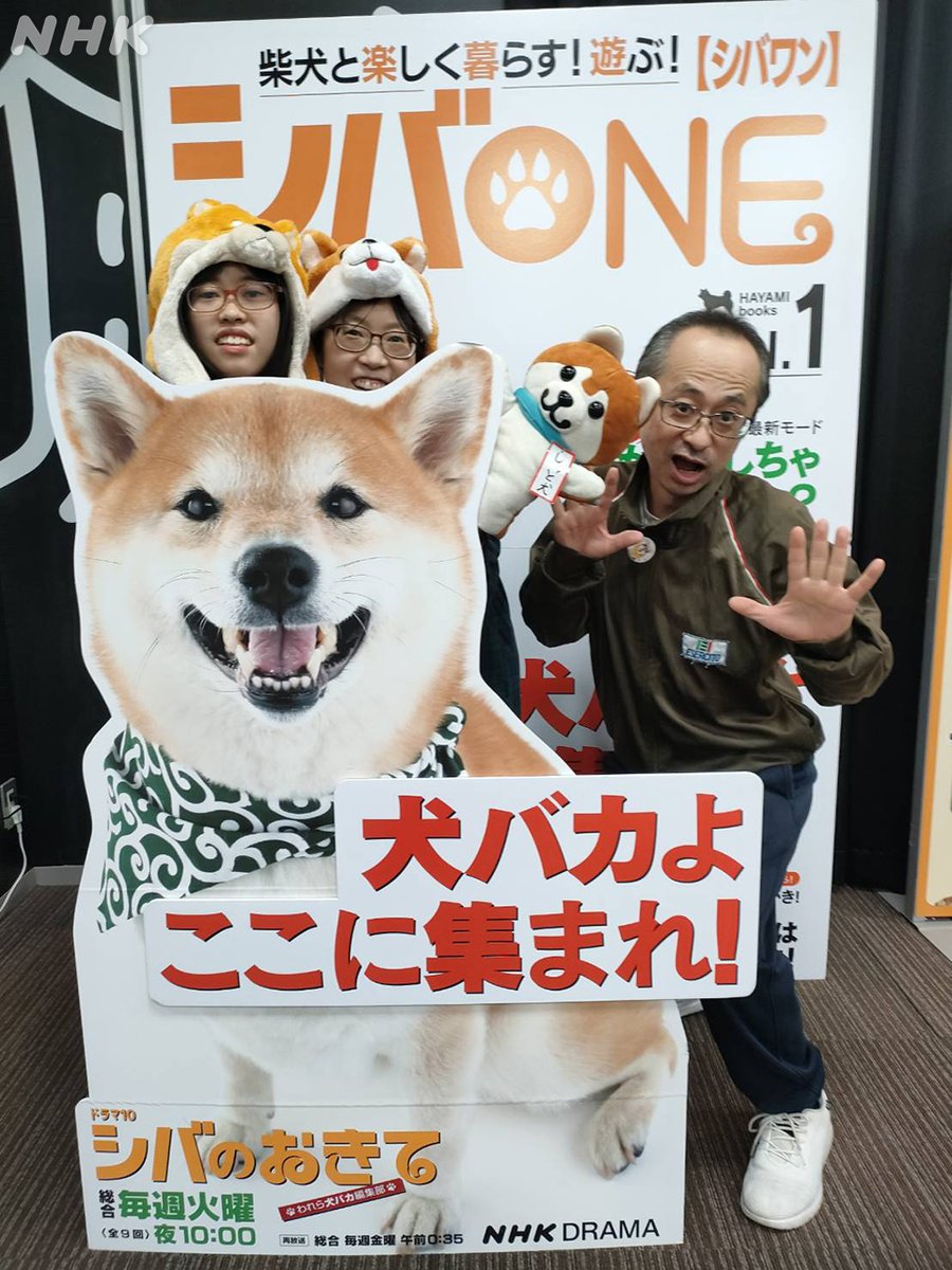 わんちゃんページ ワンちゃん同士で一緒に駆け回ってる姿を見ると楽しそうだなぁ🥰って