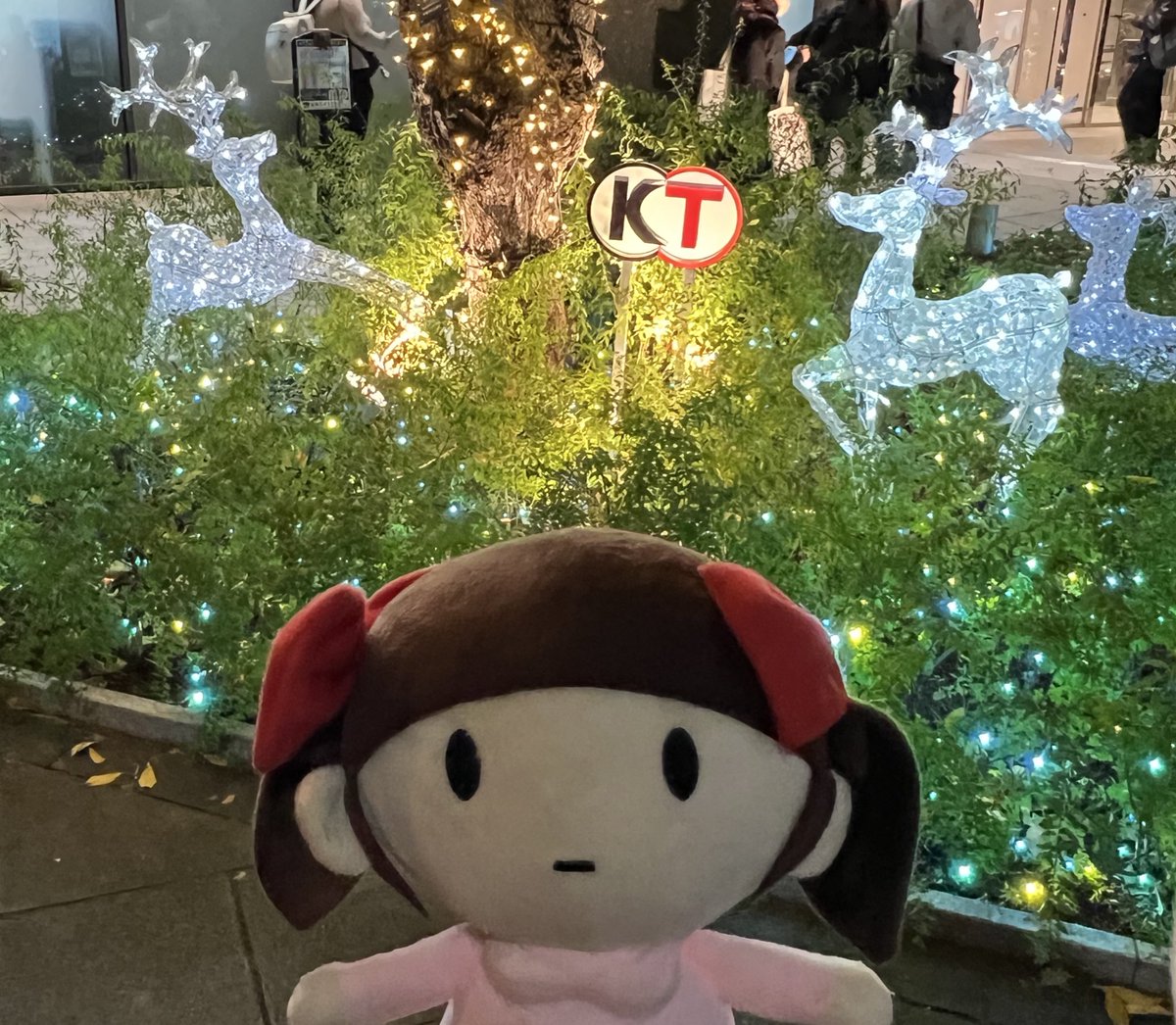 リセ（ゆかり王国）♏️2/27ゆかりんバースデー2026 (@c_liser_yukarin