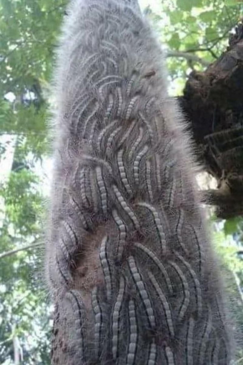 Ketawa itu GRATIS 🛩 tweet media