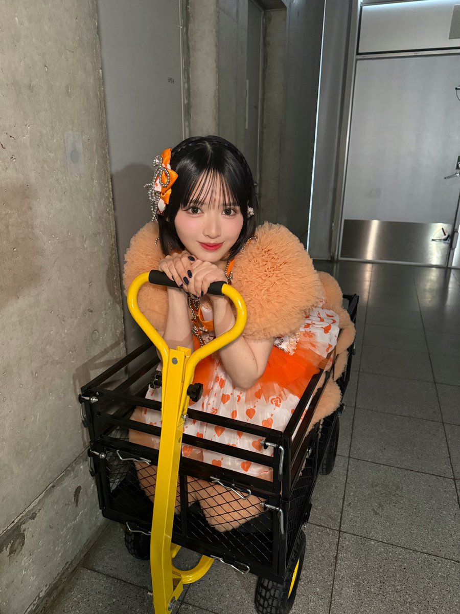 1日目、これで登場したおすずが真後ろ通って、「おすず～～！！！」って言ったらこっち見てくれて目が合った後に、息子👦🏻の方見て🍊「かわいい！🫵🏻」って言ってくれて、これ以上ないファンサでした一生忘れない墓場まで持ってく😭🧡😭🧡😭🧡かわいすぎ

#はちゃめちゃわちゃライブ
#鎮西寿々歌
#推すず