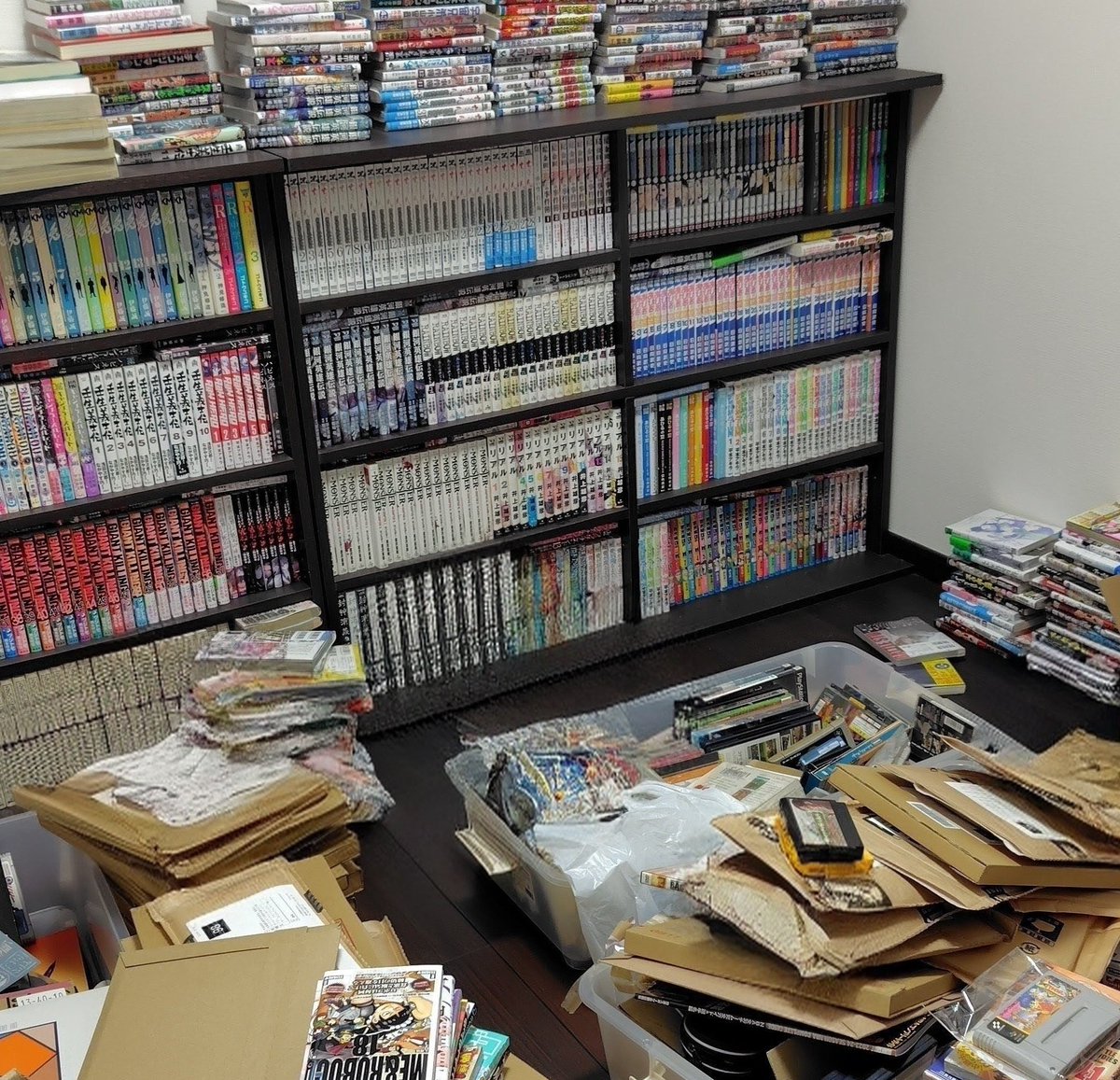 あっさー おまとめ【棚場整理】 黒松 2本 あっさー おまとめ【棚場整理