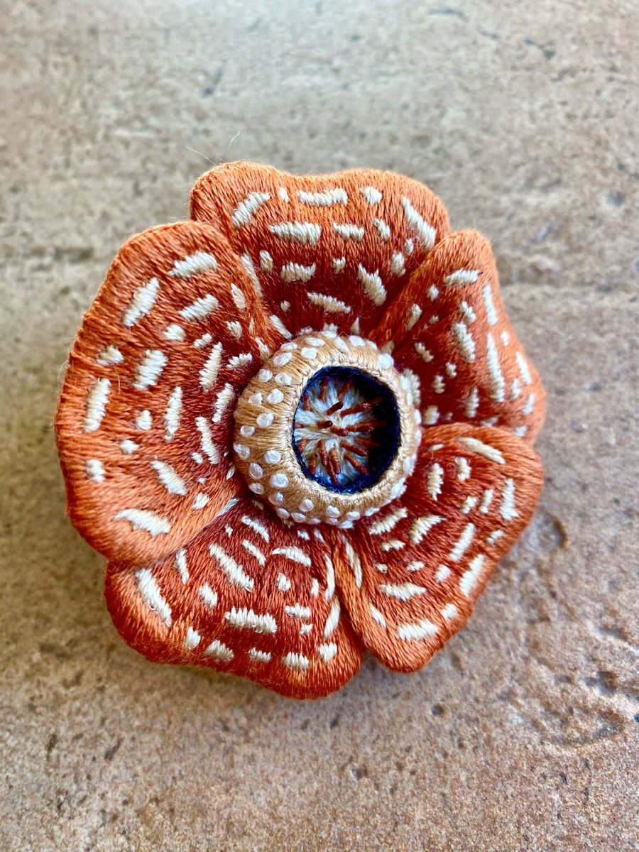 インコッコ (@ORANGEBIRD037) / Posts / X