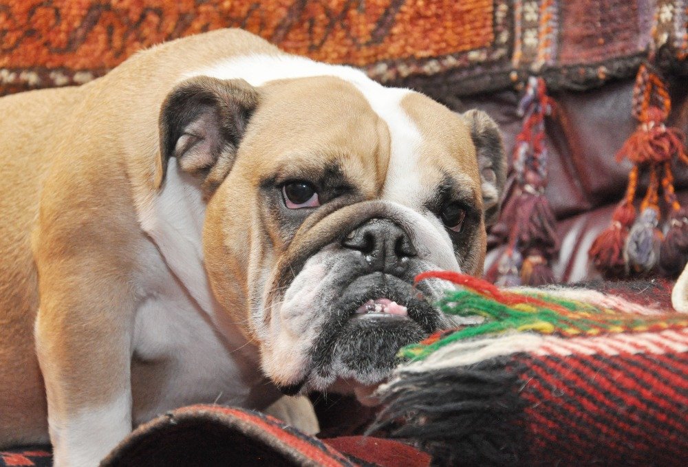 JanPhotojs's tweet image. rajce.idnes.cz/photojs/album/…