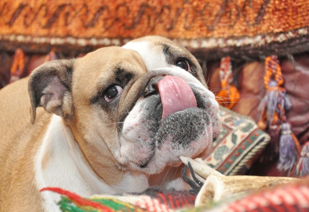 JanPhotojs's tweet image. rajce.idnes.cz/photojs/album/…