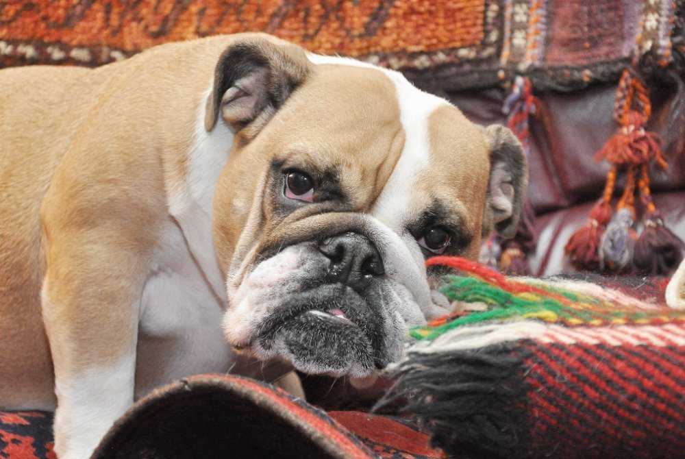 JanPhotojs's tweet image. rajce.idnes.cz/photojs/album/…