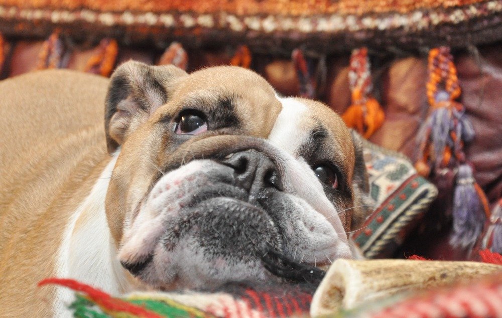 JanPhotojs's tweet image. rajce.idnes.cz/photojs/album/…