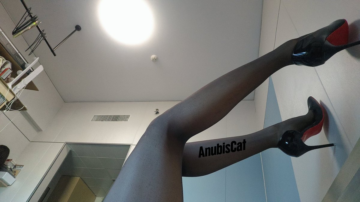 Anubis猫 tweet media