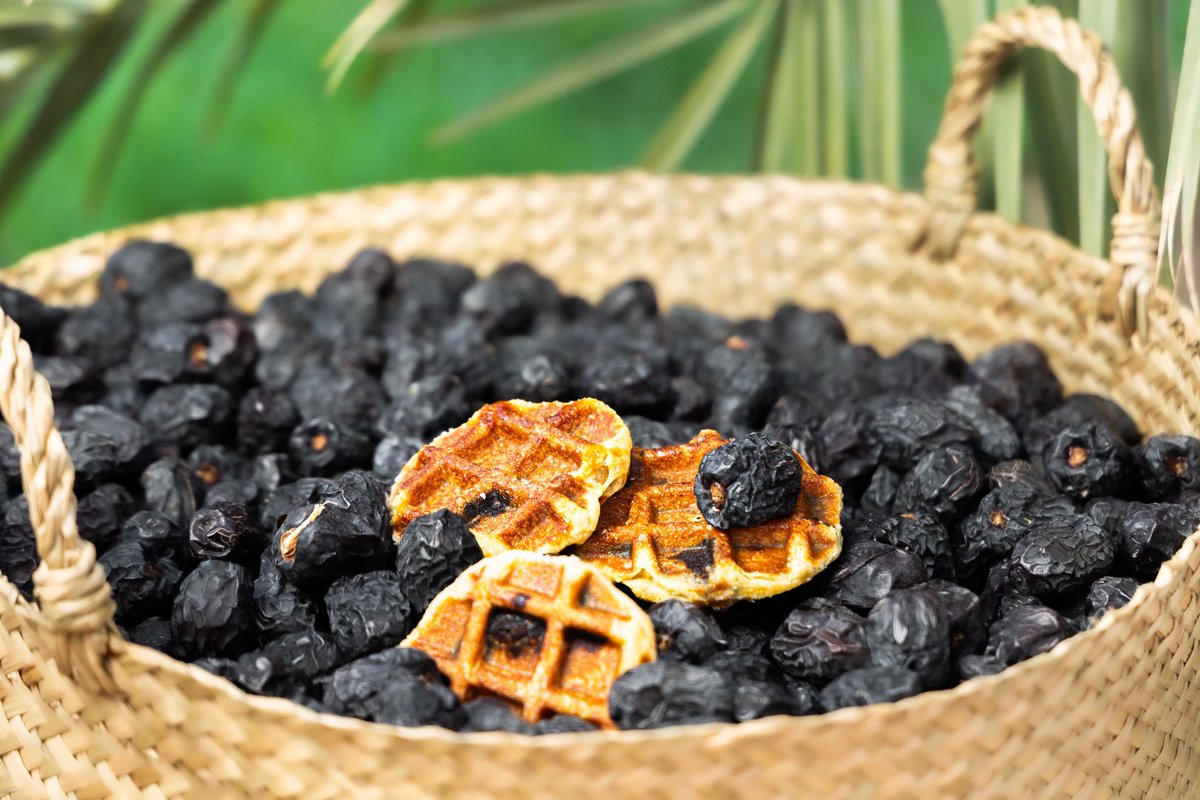 العجوة نكهة ارتبطت بالمدينة وبتاريخها وبركتها، وصارت جزء من هوية المكان

ولأن تيام مستوحى من هوية مدينية أصيلة،
جزء من رحلتنا تقديم منتجات تحمل طابع مديني خالص.

لذلك نقدم لكم التحفة الفنية ✨وافل بالعجوة✨

ولمحبّي الكلاسيك،
متوفر بعد الوافل الكلاسيك.

#تيام #عجوة #عجوة_المدينة