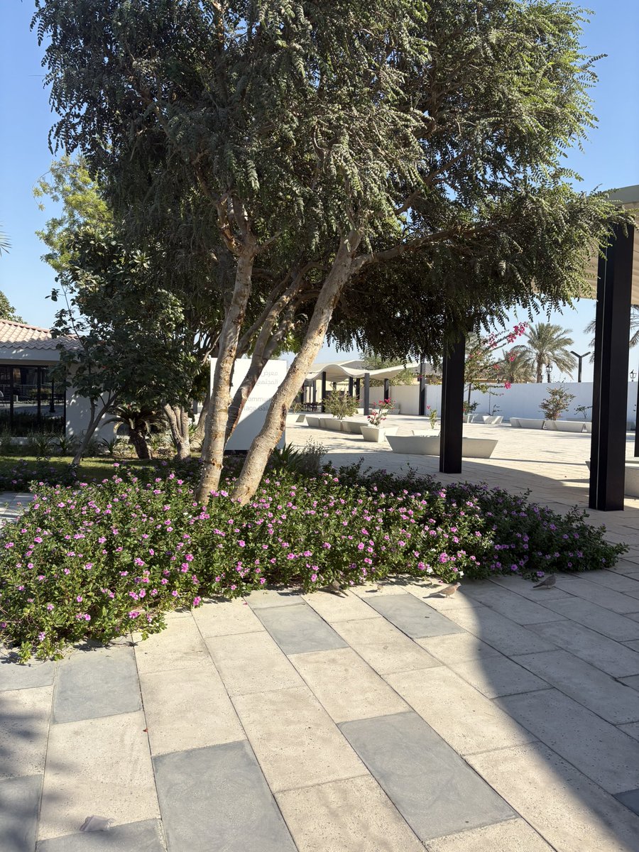 bearstrob's tweet image. i really enjoy with ma life huuuh😮‍💨🫩