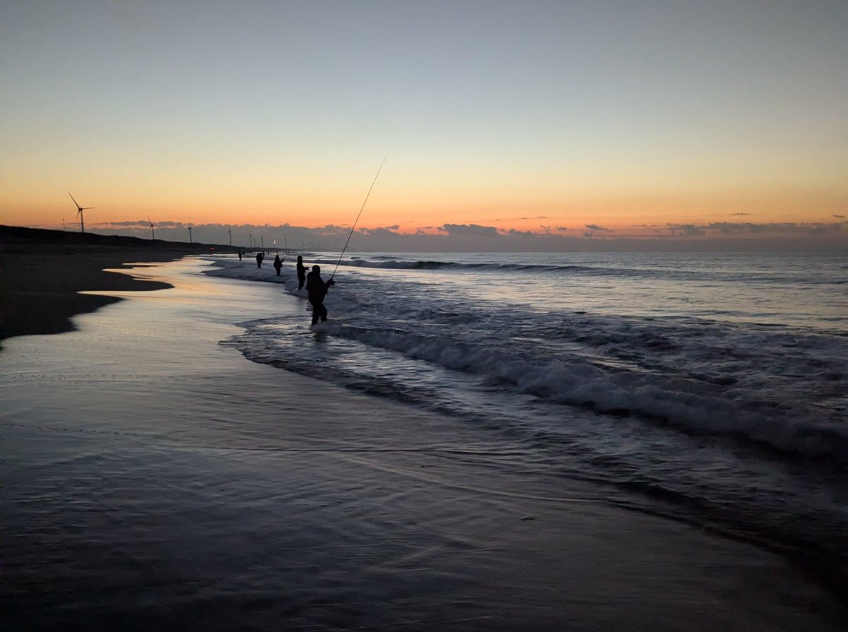 mob_chin's tweet image. ｷﾓﾁｨ...