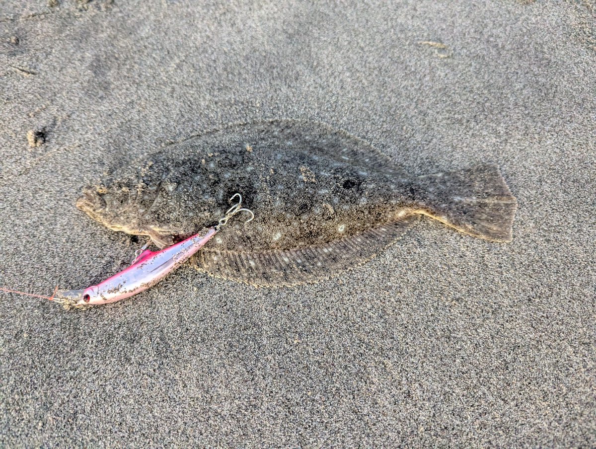 mob_chin's tweet image. ｷﾓﾁｨ...