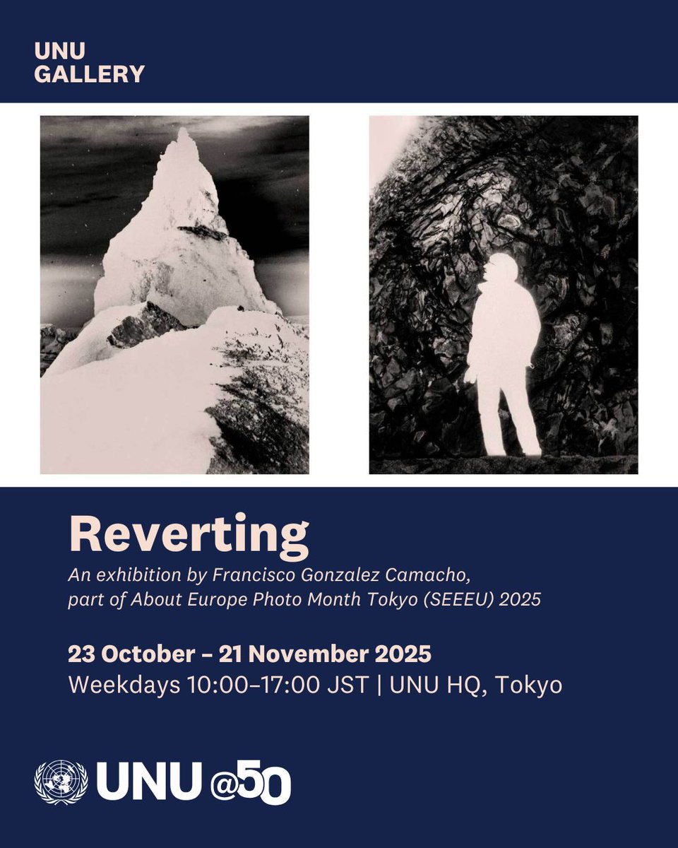 UN University tweet media