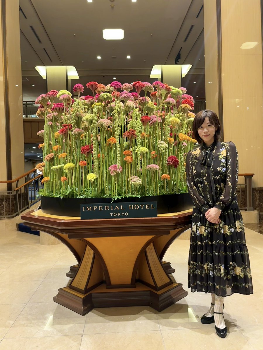 どんぐり (@dong_uri) / Posts / X