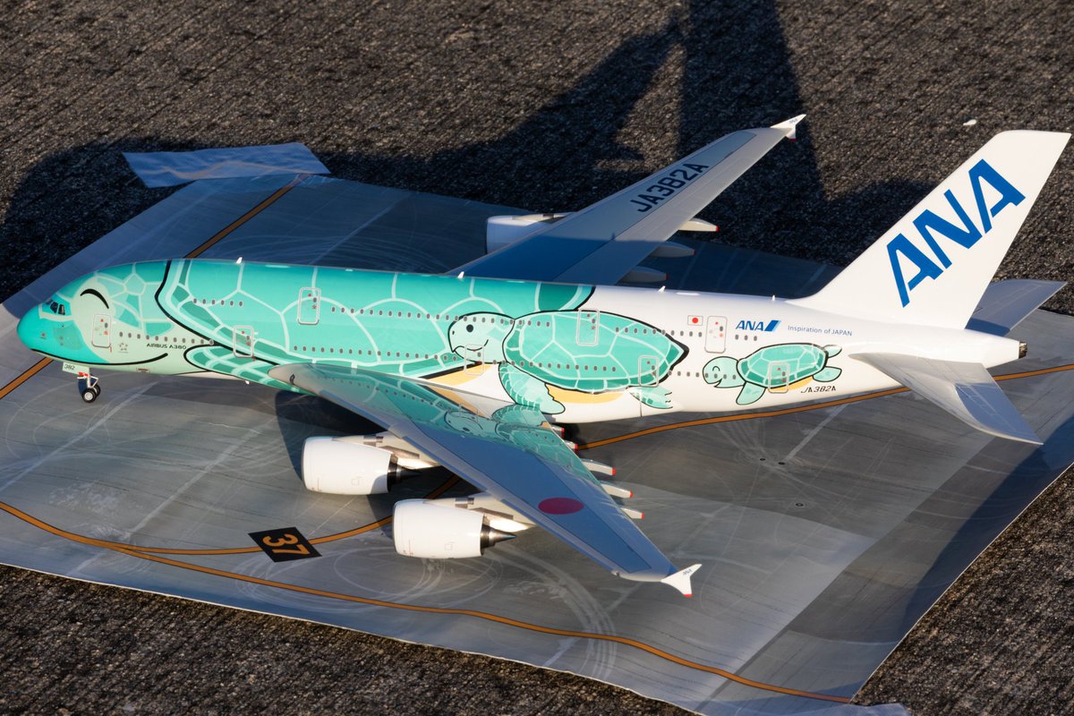 tawashi_plamo's tweet photo. Revell 1/144 A380-800
ANAフライングホヌ2号機

胴体の歪みや癖の強いデカールに悪戦苦闘しながらも、#伊丹スカイパーク模型展示会 までになんとか完成！
こうなるとやはり3機揃えたいところですが、ホヌはカッティングマシンによるマスキング��塗装が最適解かと思います(^^;)
#旅客機プラモ https://t.co/i0QlCZfTMw