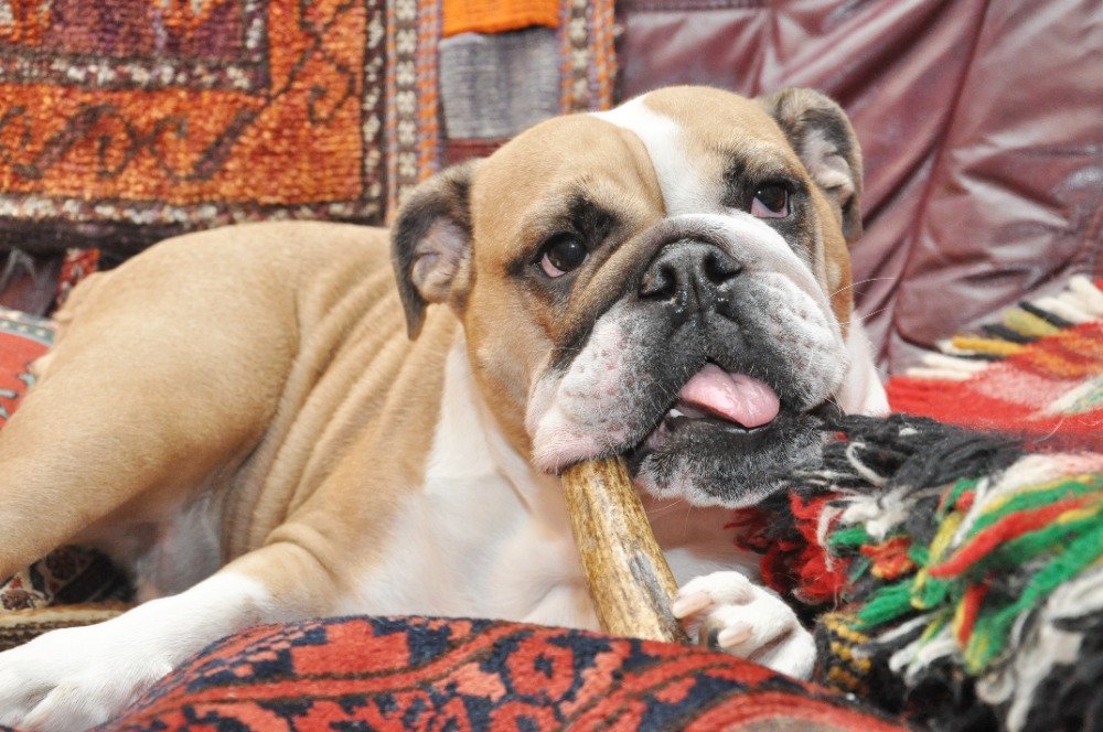 JanPhotojs's tweet image. rajce.idnes.cz/photojs/album/…