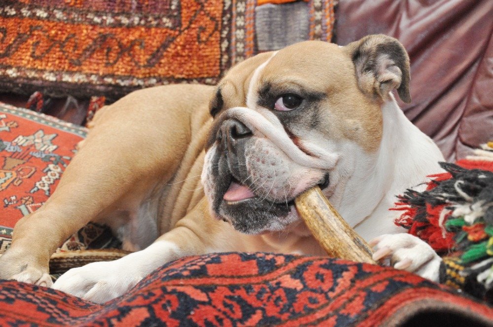 JanPhotojs's tweet image. rajce.idnes.cz/photojs/album/…